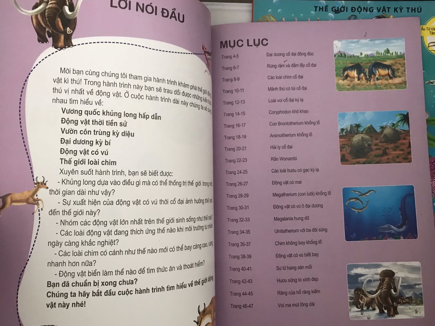 Sách ổn, nhiều nội dung hay. Tuy nhiên có lúc phần hình và chữ nhìn hơi rối. Cần có người lớn hướng dẫn bé xem sách.