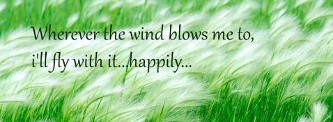 Kết nối tốt, vào mạng nhanh