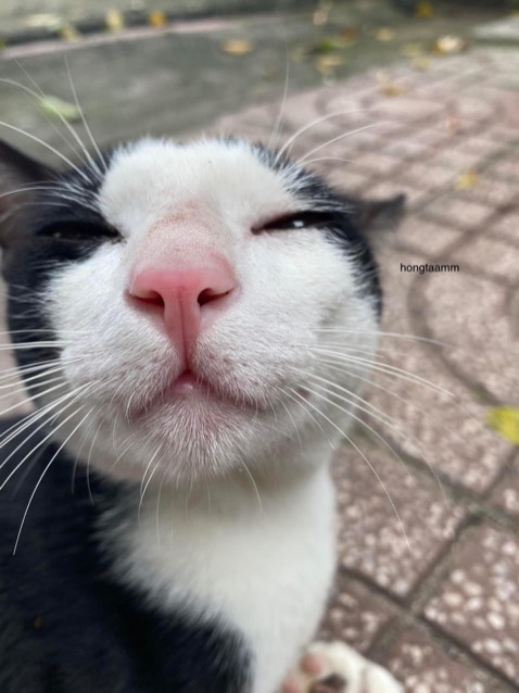 Tiki giao nhanh, sản phẩm tốt, chất lượng ❤️❤️❤️ Tiki giao nhanh, sản phẩm tốt, chất lượng ❤️❤️❤️