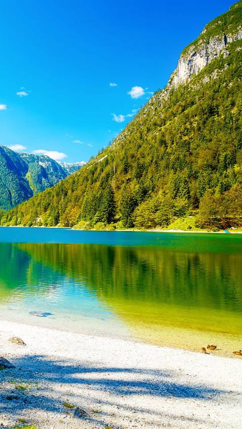 Nấu nhanh chín đều ủ nóng tốt nhưng đáy nồi hơi bị lồi giữa nên. Thích chức năng cơm cháy khá ngon 
Hình ảnh hỉ mang tính hình thức