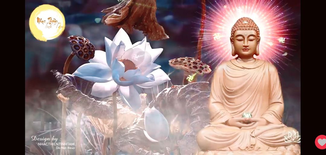 xài binh thườg ko có gì cs