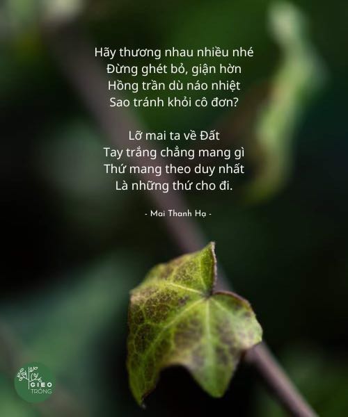 Hay lắm