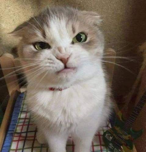 Rất tốt, tiện gọn