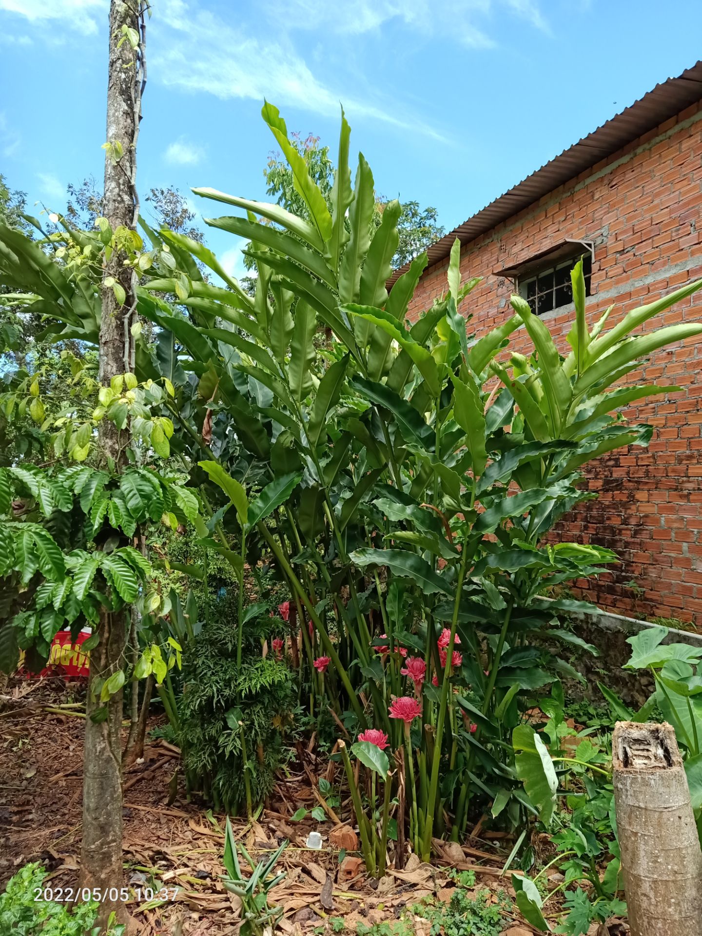 tôi hài lòng với sản phẩm này