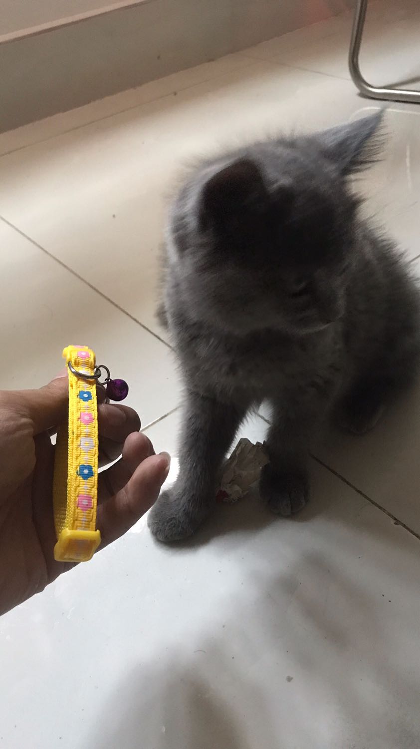 Vừa xấu, vừa rẻ tiền kém chất lượng. Thiết kế cũng ko hợp lý !!! Vứt rác luôn. Vừa xấu, vừa rẻ tiền kém chất lượng. Thiết kế cũng ko hợp lý !!! Vứt rác luôn.