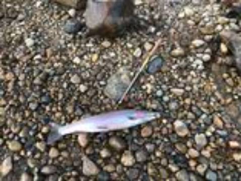 đẹp và hàng tốt chất lượng cao nên mua