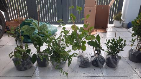 Thời gian giao hàng nhanh, đóng gói cẩn thận. Hòn sỏi nhỏ nhỏ, xinh xinh.