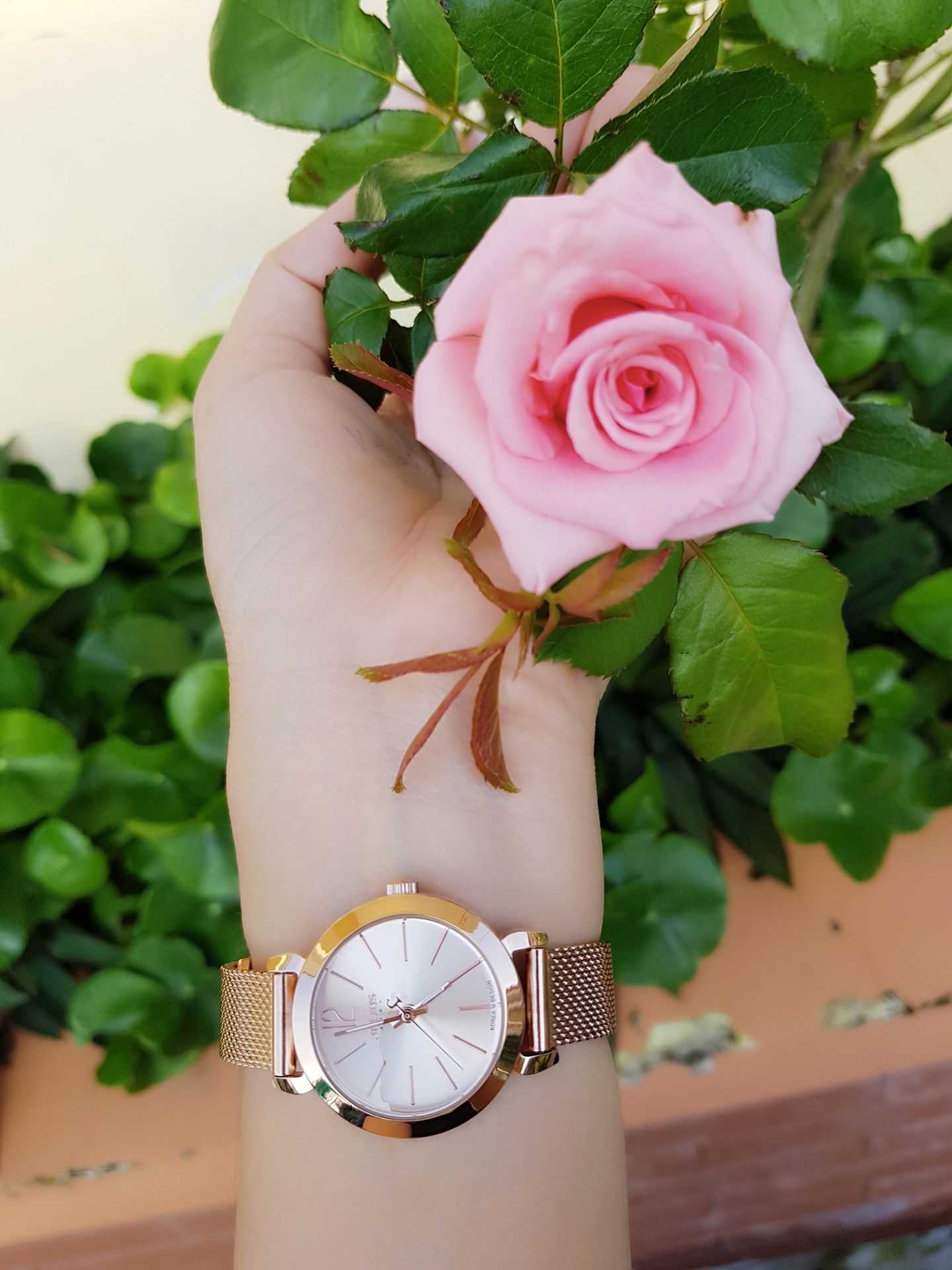 Với tầm giá này thì đồng hồ quá là đáng mua. Thiết kế siêu đẹp, nhỏ nhắn và sang trọng.