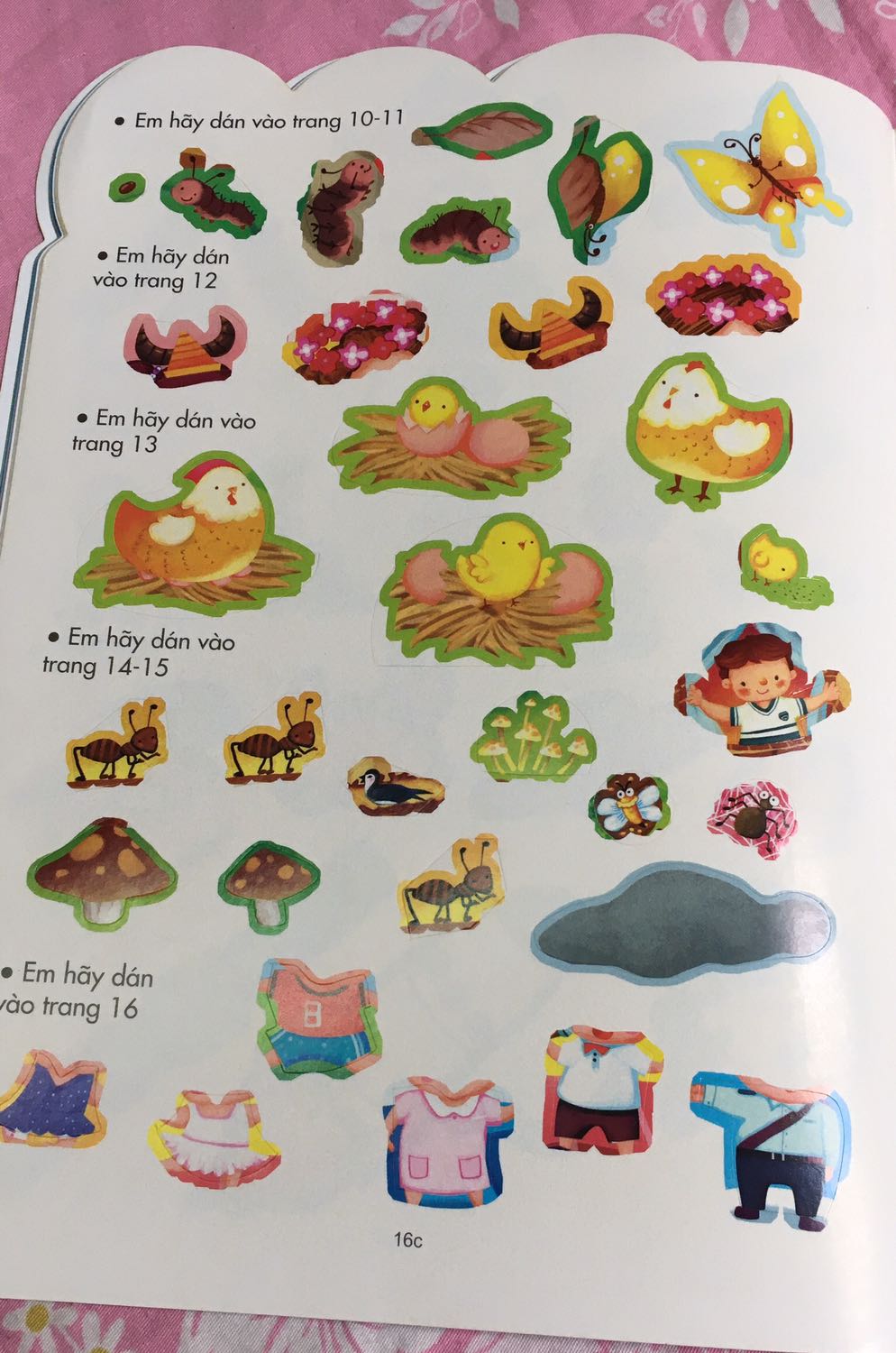 Sách in đẹp, miếng dán trên giấy cán bóng