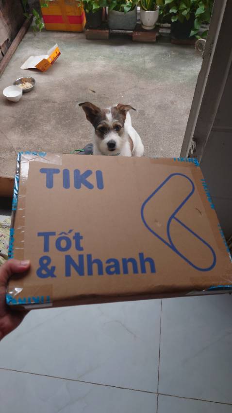 Tiki luôn giao hàng nhanh; hộp không bao giờ bị móp, méo; đóng gói đẹp và cẩn thận.
Sách in màu, chất lượng giấy tuyệt vời. Một cuốn sách dễ thương!