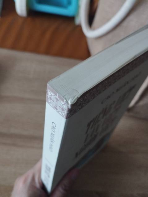 Sách trông cũ, có vết mực trên bìa, gáy sách rách và gập nếp.