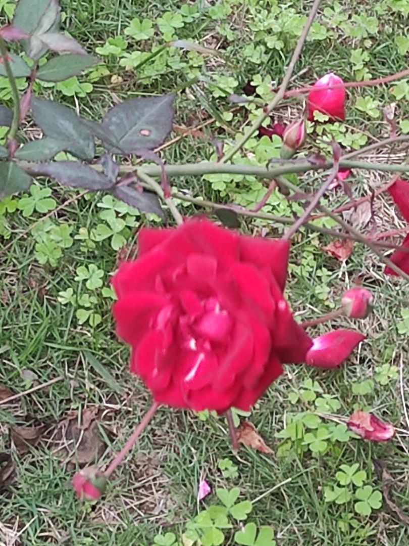 hàng chất lượng tốt