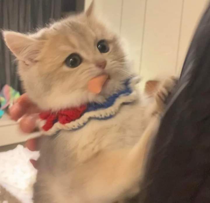 sách có khá nhiều bài tập hay, lời giải dễ hiểu, phàn đề thi cũng khá hay và thú vị, đáng tiền