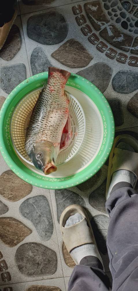 Giao hàng nhanh, đóng gói cẩn thận hàng đẹp chất lượng tốt