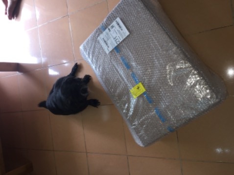 Giao hàng nhanh, đóng gói cẩn thận, hình thức và chất lượng đúng như quảng cáo. Nhân viên vận chuyển nhiệt tình, chu đáo. Màn hình rất đẹp so với tầm giá