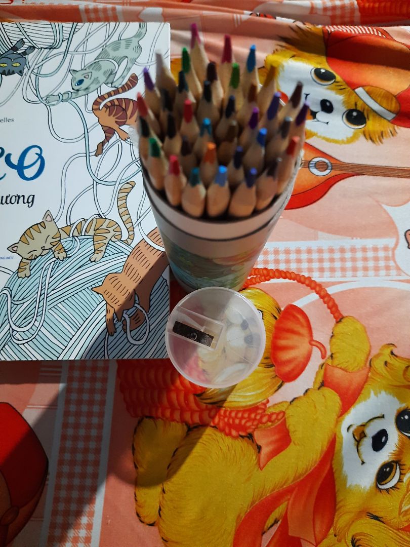 Màu chì đẹp, nhưng hơi nhạt màu. Bút cầm nhẹ và rất êm tay khi tô màu, lên giấy đẹp, không bị lem nhem, rơi vụn màu. Đồ chuốt chì kèm theo chắc để lâu ngày nên bị rỉ sét, nhưng so với tổng thể thì mình vẫn rất là ưng ý.