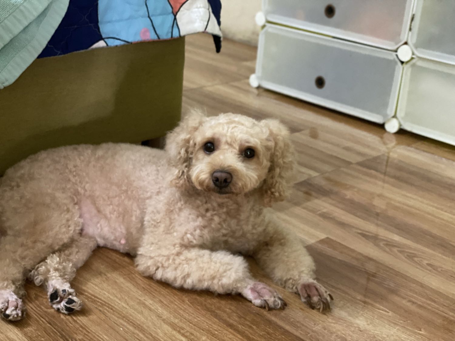 Máy khá to (1,5l) phù hợp gia đình. Máy vắt kiệt, cũng ok bền hay k dùng lâu mới biết, lười chụp quá thông cảm nha