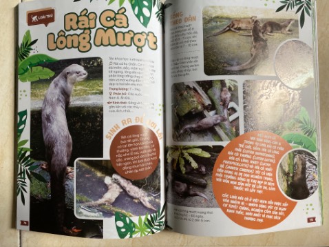 Sách ảnh đẹp, nhiều thông tin cơ bản hữu ích về các loài động thực vật hiện hữu tại Thảo Cầm Viên. Ngoài ra còn có sơ lược về lịch sử hình thành và phát triển của TCV
Sách được đóng gói kĩ