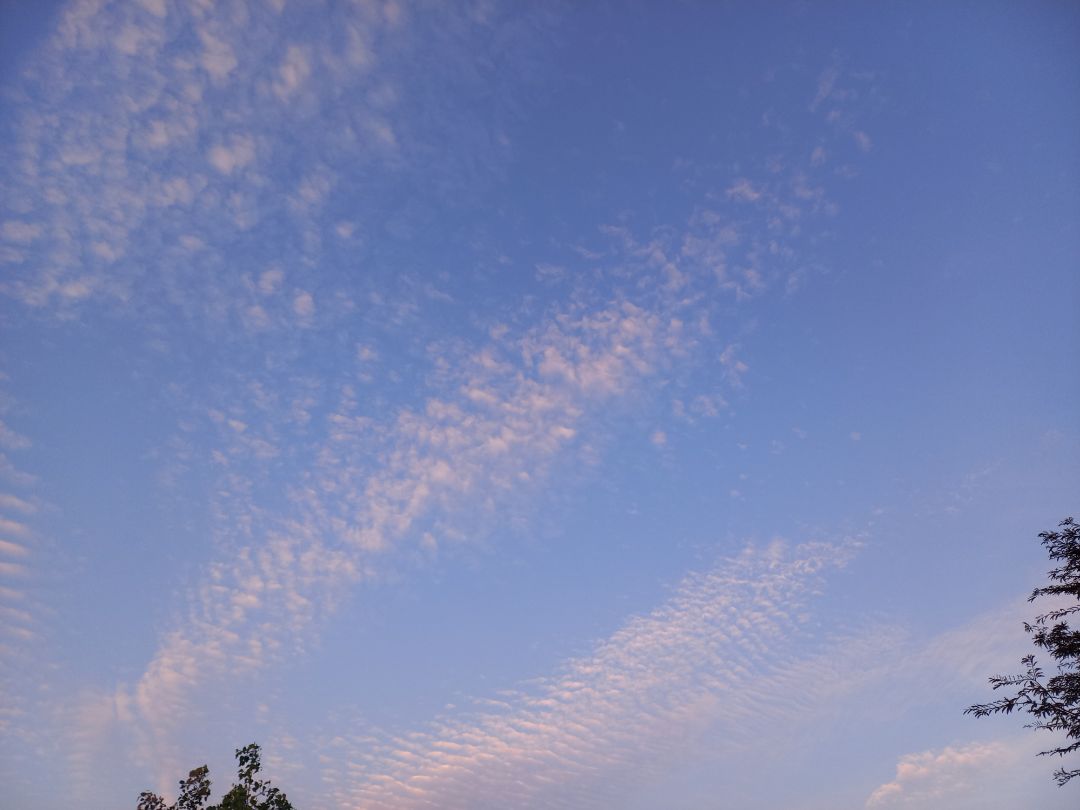 sản phẩm date xa, hàng chính hãng, shop chuẩn bị hàng tương đối, sẽ ủng hộ tiếp sản phẩm date xa, hàng chính hãng, shop chuẩn bị hàng tương đối, sẽ ủng hộ tiếp