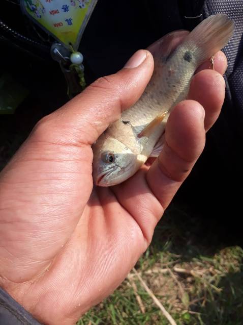 Giao hàng nhanh, đầy đủ như mô tả, còn chất lượng thì sử dụng 1 thời gian mới biết đc