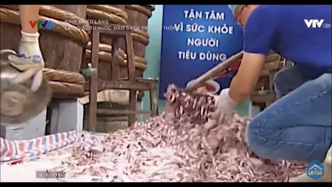 sau khi xem quá trình sản xuất thì mình thấy có vài khâu không được sạch. thứ nhất mắm đựng trong nồi nhôm, thứ hai người công nhân đang trộn cá với muối bằng một chiếc cào sắt, thứ ba người công nhân đang trộn moi với muối trên một tấm tôn phủ sơn màu xanh, lớp sơn này rất dễ thôi nhiễm vào gây độc hại ( nếu anh giám đốc được đào tạo về atvstp thì sẽ hiểu được một điều cơ bản là kim loại được phép tiếp xúc trực tiếp với thực phẩm phải là thép không gỉ vd như inox 3***/10, inox 316... ngoài ra những kim loại như nhôm, sắt, tôn khi tiếp xúc với thực phẩm nhất là muối sẽ bị thôi nhiễm chì, kim loại nặng gây ung thư. thứ tư là cá với muối được trộn trên một tấm bạt nhuộm màu xanh đỏ thứ năm là anh đeo gang tay y tế nhưng lại sờ tiếp xúc với đồ vật khác dính bụi bẩn, sơn,... rồi lại tiếp xúc trực tiếp với thực phẩm, thứ năm là người công nhân đeo gang tay ( không biết gọi là loại gì nhưng loại này người ta chỉ dùng để rửa bát, cọ bồn cầu... chứ không ai dùng để tiếp xúc với < thực phẩm sau khi rửa > vì mùi gang tay này cục kì nồng, mùi này do hóa chất độc hại có trong nó tạo ra