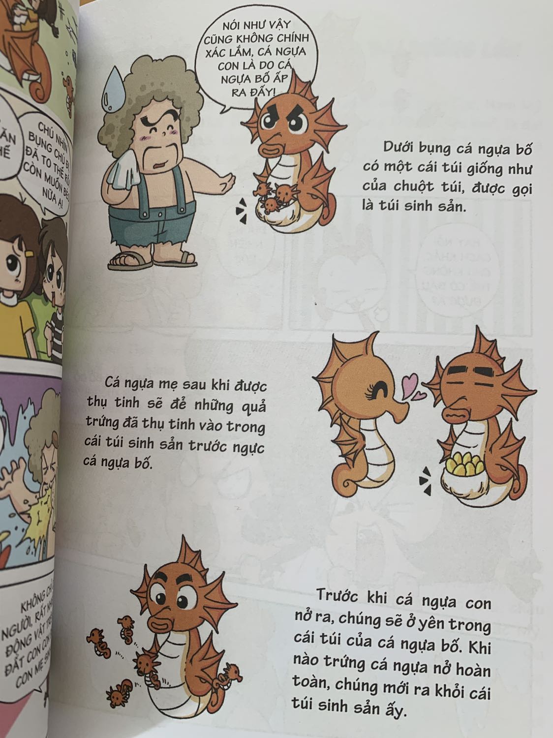 Những câu hỏi được giải đáp sinh động bằng những câu chuyến ngắn dí dỏm làm bé đọc và nhớ lâu hơn. Có những câu hỏi mà người lớn còn chưa biết nè!