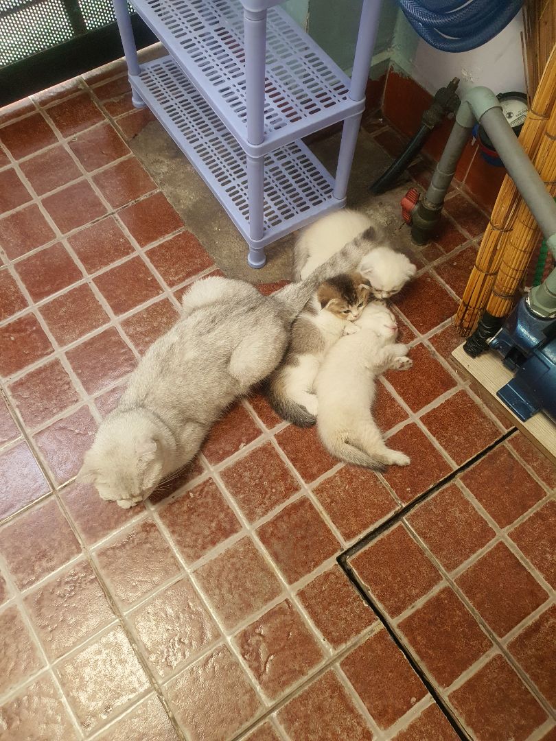 shop bán giá khá rẻ so với thị trường chất lượng sản phẩm rất tốt!hsd 2023 nói chung rất ưng ý sẽ tiếp tục ủng hộ shop khi có nhu cầu!!!