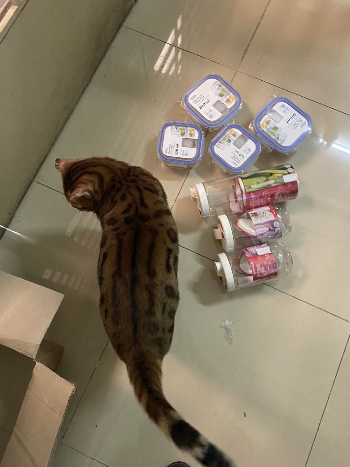 Hộp cao & nhỏ gọn , để muối dưa cà, hành kiệu , để được bên cánh cửa tủ lạnh rất tiện lợi !