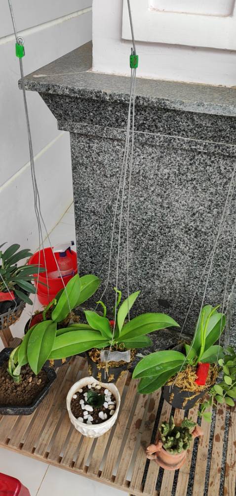 Nội dung hay, mauz sắc đẹp, chất liệu đẹp