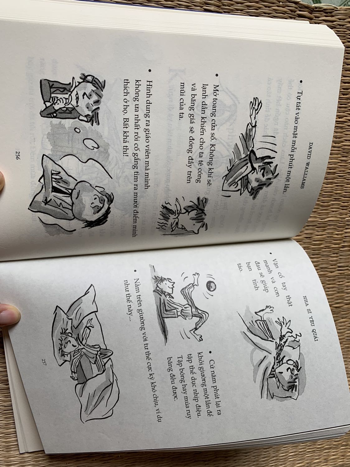 Sách của David Walliams lúc nào cũng hài hước, các bạn trẻ rất thích. Cốt truyện thì mình không thích bằng sách Bà nội gangxto và Băng đảng nửa đêm của cùng tác giả.