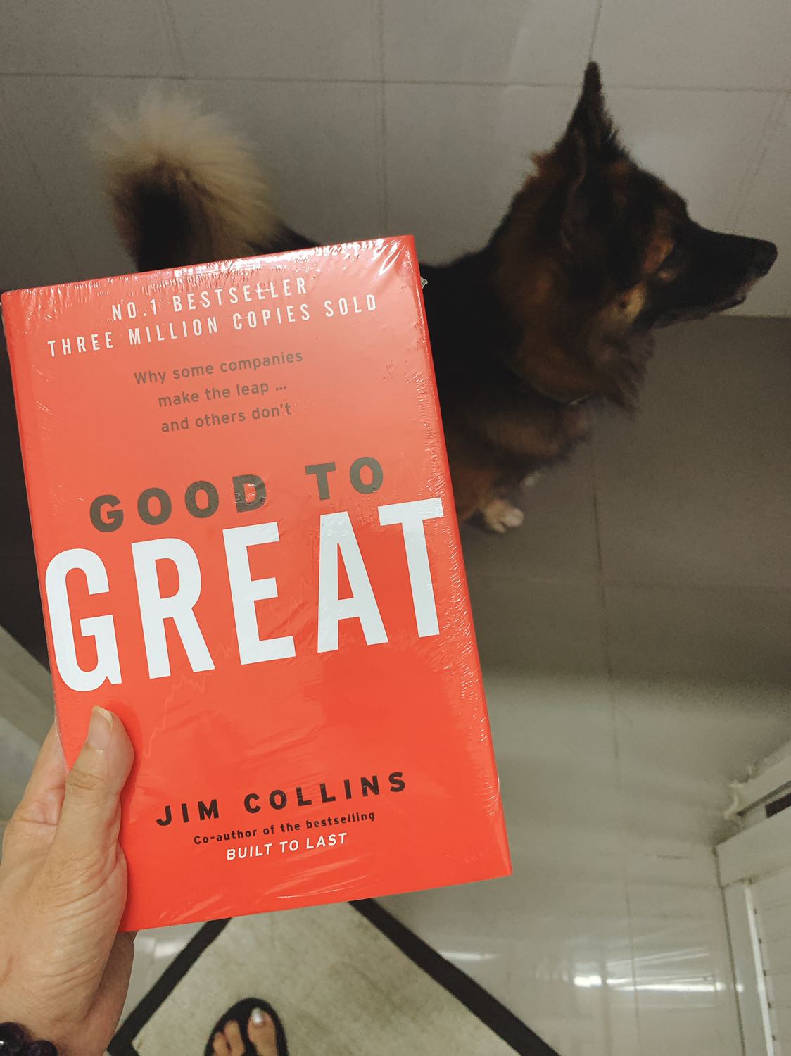 Tôi đã đọc bản tiếng Việt, rất thích, rất ngưỡng mộ tới mức phải tìm mua bản tiếng Anh để biết nguyên văn gốc của sách thế nào. Đây là một cuốn sách thật sự HAY & thiết thực cho bất kỳ bạn nào tham gia vào vai trò nào trong doanh nghiệp, bất kể là sinh viên vừa tốt nghiệp, người đi làm thuê, cấp nhân viên hay quản lý, mang vai trò khởi nghiệp, nhà sáng lập hay nhà đầu tư. Sách này giúp người đọc tiết kiệm được 4 năm kinh nghiệm đèn sách nghiên cứu vì sao doanh nghiệp thành hay bại, & mình đang đi về đâu trong quá trình ấy. 

Tôi chân thành cảm ơn tác giả, nhóm nghiên cứu, những người liên quan để tôi được chạm tới sách hay như vậy!! & cảm ơn team Tiki đã "chịu khó" bán hàng & giao hàng sách mùa dịch Covid dù tôi ở Bình Dương. Rất cảm ơn!!!