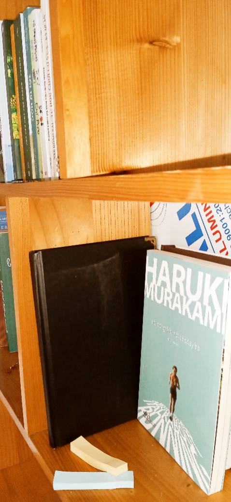 Thời gian mình đọc sách của ông cũng là lúc mình vượt qua giới hạn. Một lời văn giản dị, một chặng đường dài