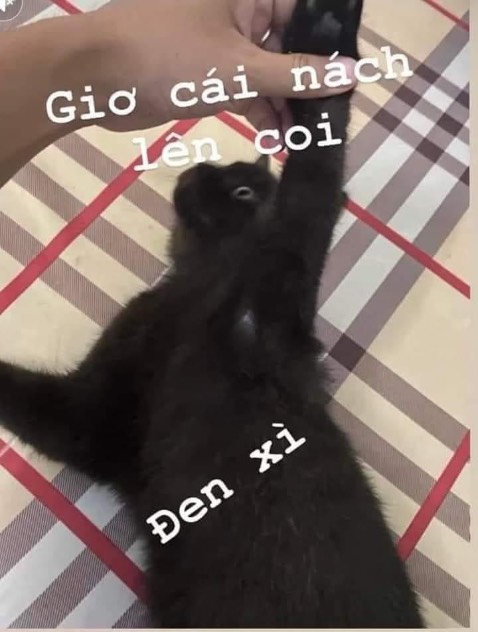 Rất tốt ốp đẹp  vừa máy và tiện lợi