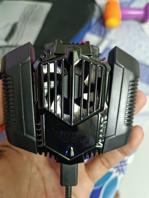 Đẹp cứng cáp Đẹp cứng cáp