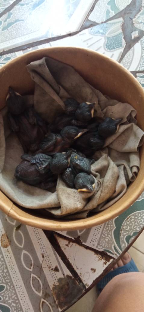 Nhìn ngoài hơi nhỏ đúng hàng