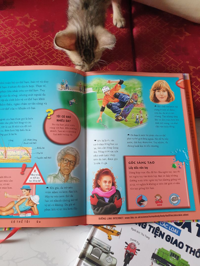 sách rất đẹp. nội dung phong phú. thích hợp với bé 5t trở lên. đc giảm 50% giá nên cực kì hài lòng