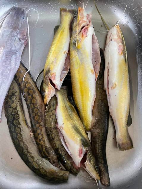 ghế ok, giao nhanhhhhhhhhhhhhhhhhhhhhhhhhhhhhhhhhhhhh