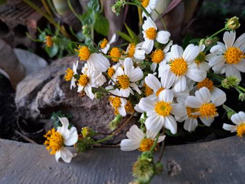 Thấy review hay nên mua dùng thử, chưa biết như thế nào nữa Thấy review hay nên mua dùng thử, chưa biết như thế nào nữa