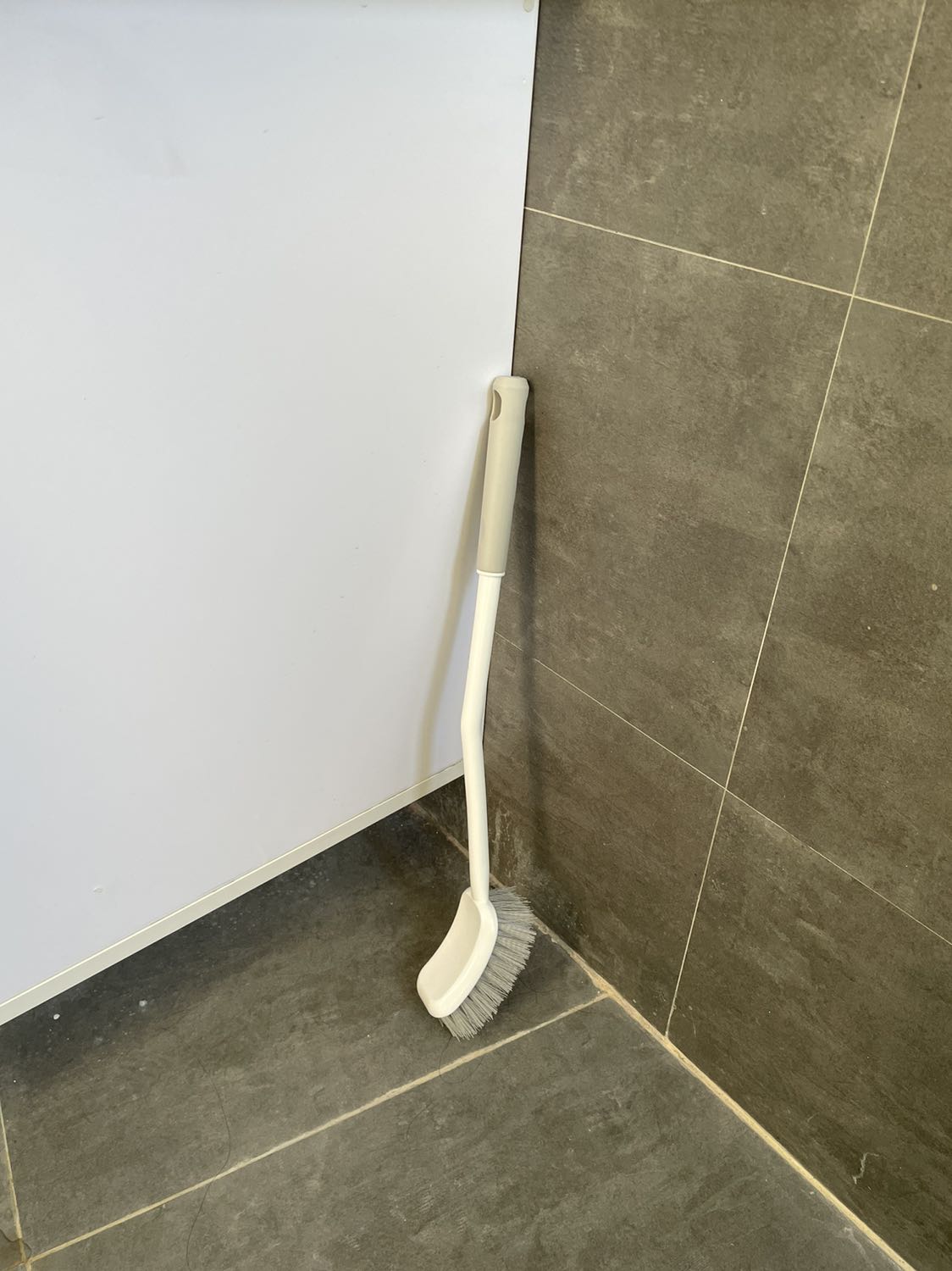 Cây cọ cứng cáp, cọ chà sàn tốt.