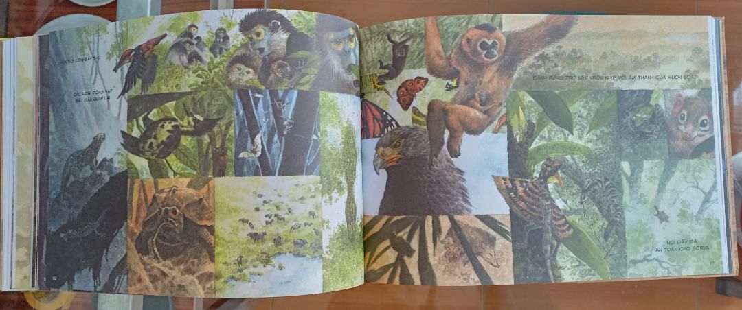 Câu chuyện cảm động, tranh vẽ đẹp, tự nhiên ,giàu cảm xúc. Rất ủng hộ những quyền sách có giá trị về động vật, môi trường và thiên nhiên.