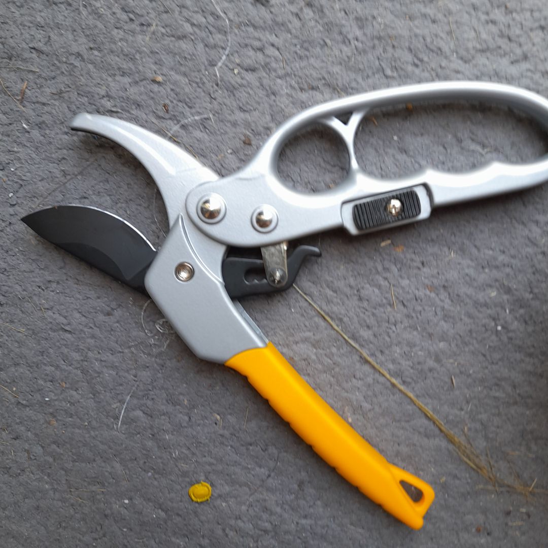 quá đẹp
chắc chắn
kéo cộng lực cắt cành #20mm nhanh chóng
shop tư vấn nhiệt tình
hàng Germany xịn so
tốt