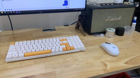 Build quality tốt, tín hiệu tốt, cầm vừa tay, 1 con chuột chơi game đơn giản vừa đủ xài không có những tính năng tao lao. Less is more mice !!!