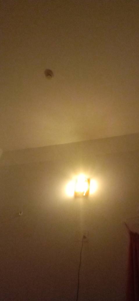 Rata hài lòng về sp, giao hàng nhanh, cây có thể linh hoạt mang đi mọi nơi