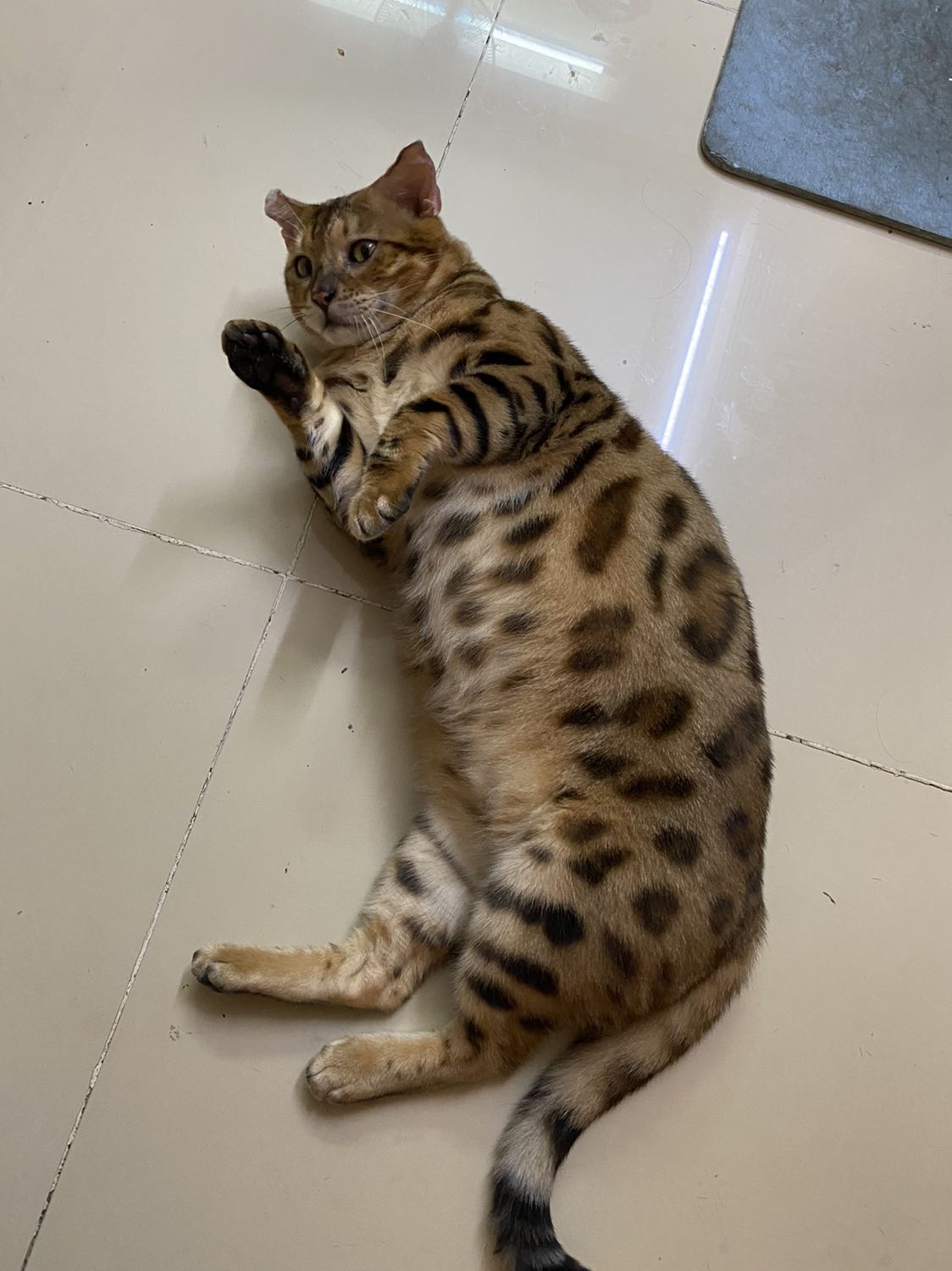 Mùa dịch nên giao hàng rất chậm, gần 1 tháng, ngóng dài cổ… Nồi xài cực thích , nấu siêu nhanh, dung tích 6 lít vừa cho gia đình 4 người, rất nên mua !