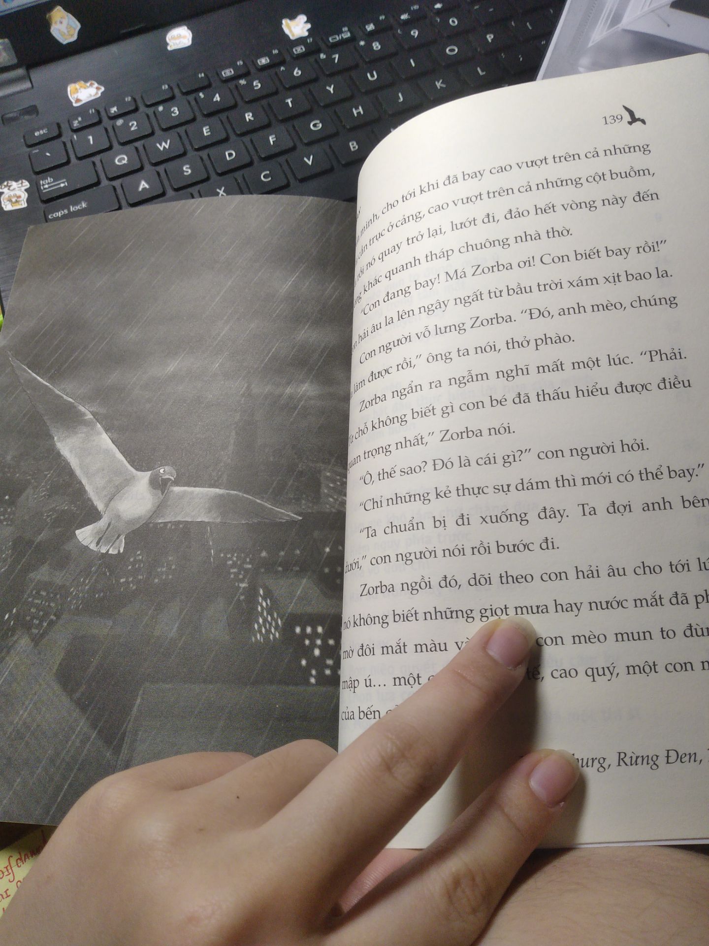 giao hàng cực nhanh nha, mình đặt chiều hum trc thì trưa hum sau đã có rồi.  sách khum bị sao hết, còn mới nguyên không hay gấp nếp. 5 sao cho chất lượng sách và dịch vụ. 
rì viu sương sương về nội dung, thì nó đúng là tả về câu chuyện một con mèo dạy con hải âu bay :). tuy cốt truyện nhẹ nhàng, dễ đoán nhưng cực cuốn. mình chỉ định đọc 50 trang thôi mà không dừng được. qua câu chuyện, mình nhận thêm được nhiều bài học về tình yêu thương và về cách con người đối mặt với thử thách. thế thôi, khum xì poi nhiều đâu. 
nói chung 4* cho nội dung sách. 
rất đề cử các bạn đọc nhaaa.