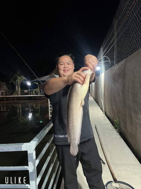 Chất lượng sản phẩm tốt, đóng gói rất kỹ giao hàng nhanh , shop bán hàng có tâm tư vấn nhiệt tình shipper nhiệt tình nên mua sản phẩm