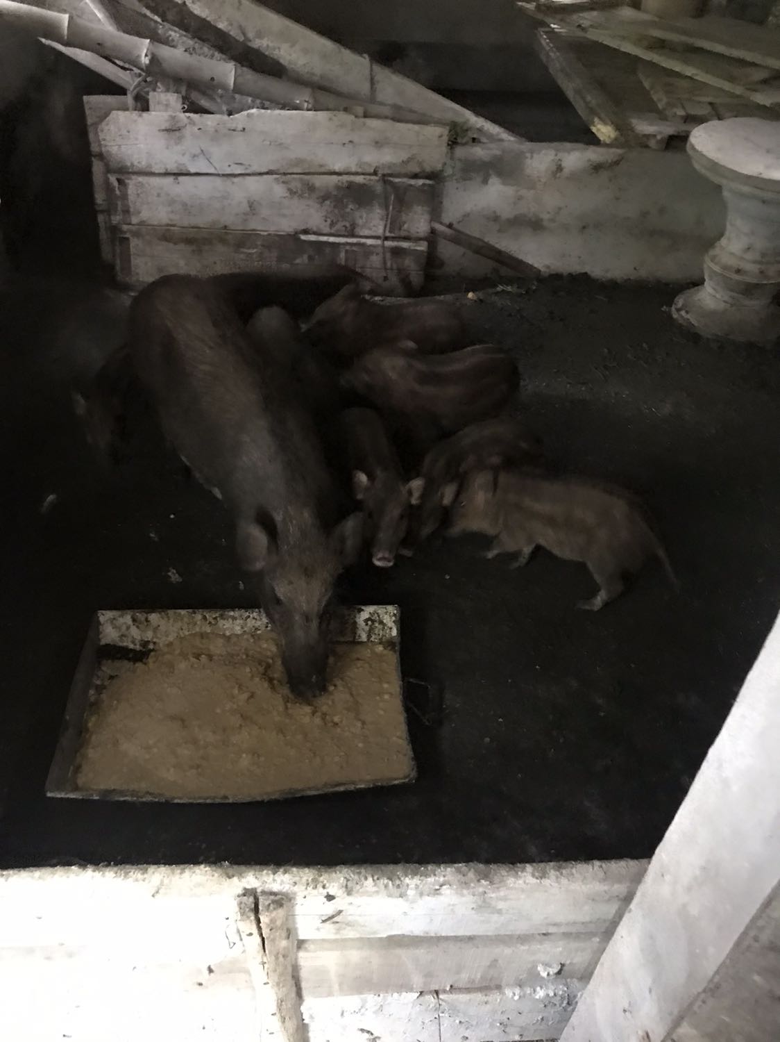 Hàng sử đụng rất tốt nên mua