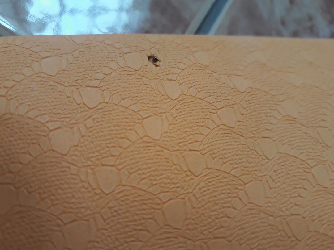 mới mở ra thấy hết ham ,hàng tệ quá