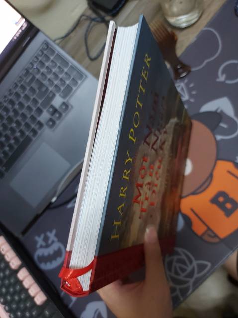 Mê art của Jim Kay quá nên phải mua thoi😘😘