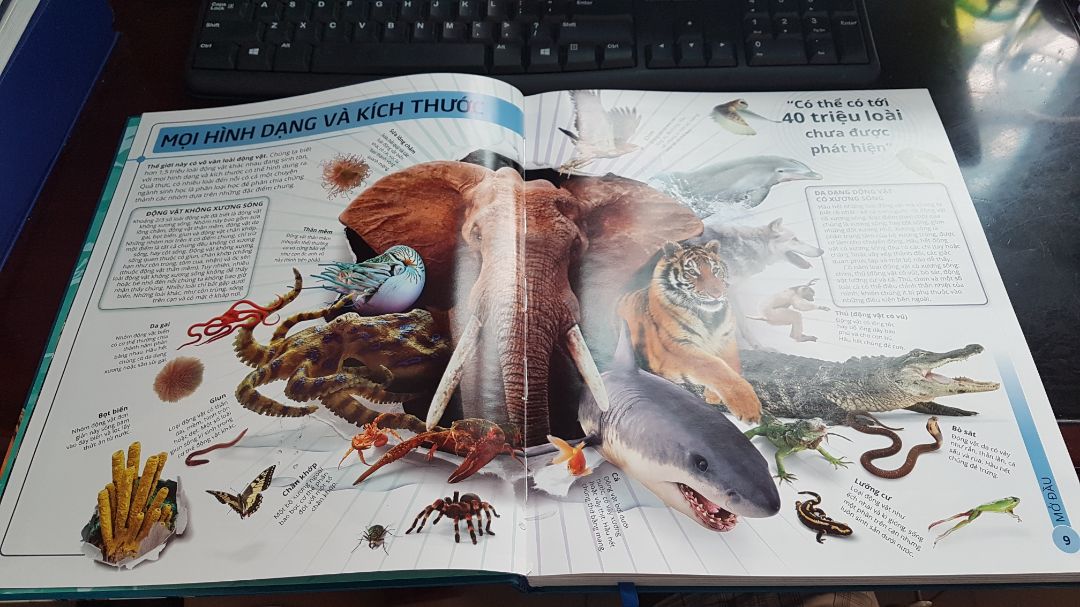 Sách đẹp ! Nội dung phong phú ! 
Giao hàng trước thời hạn. Hi vọng giá down chút nữa với sản phẩm sách khác , sẽ mua bổ sung .